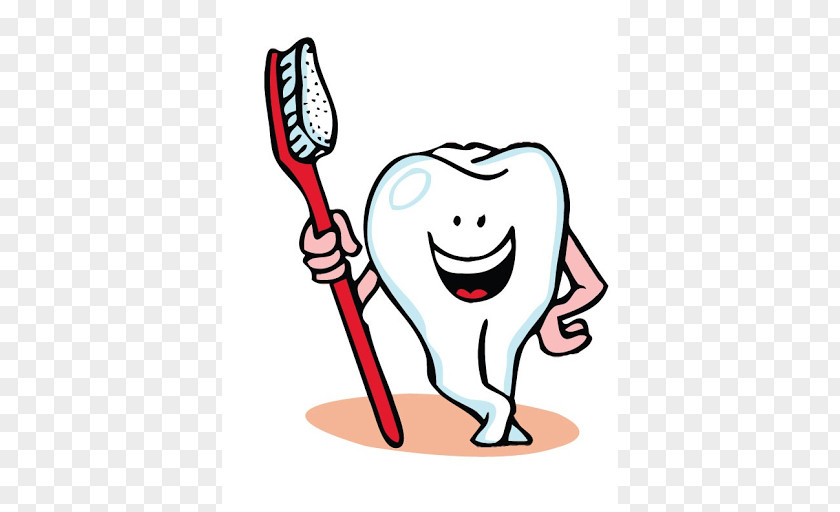 Toothbrush Dentistry Dental Hygienist Tooth Brushing PNG