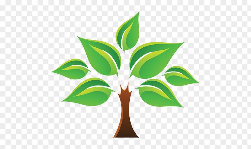 Tree Of Life Stock Photography PNG