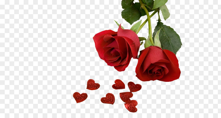 Valentine's Day Flower Bouquet Rose Desktop Wallpaper PNG