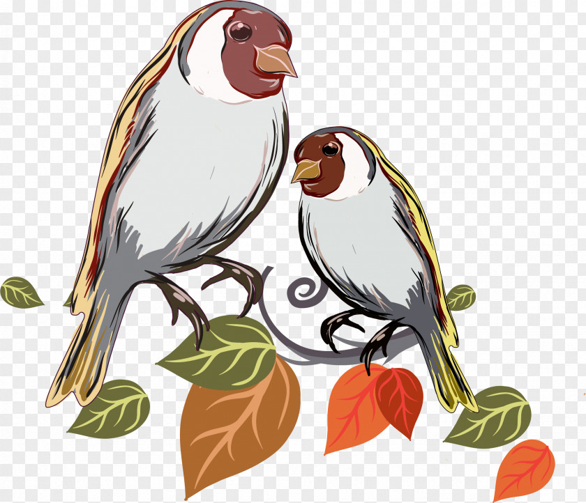 Vector Hand Painted Bird PNG