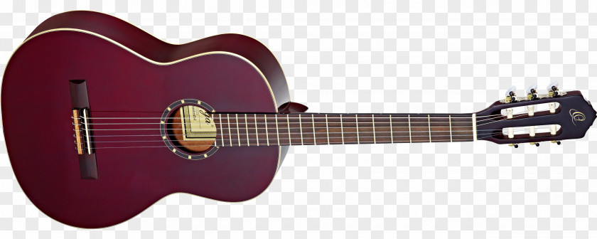 Amancio Ortega Acoustic Guitar Ukulele Musical Instruments String PNG
