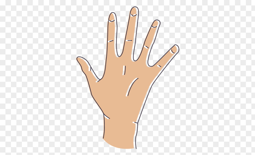 Hand Thumb Gesture PNG