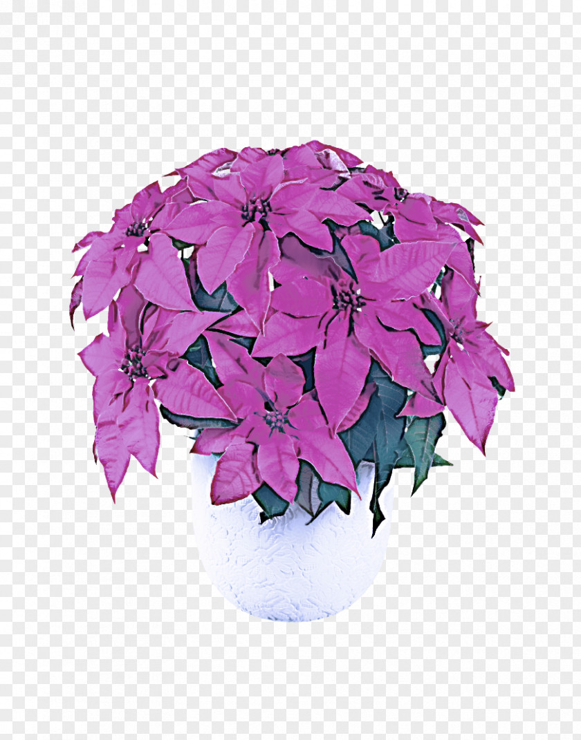 Magenta Impatiens Flower Plant Purple Violet Pink PNG