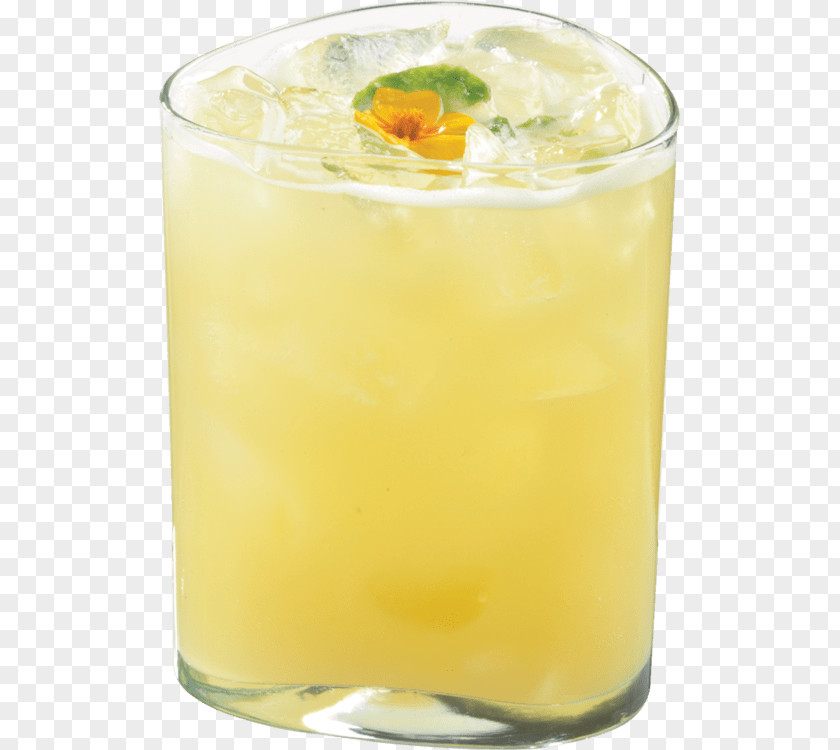 Passion Fruit Juice Harvey Wallbanger Cocktail Garnish Fuzzy Navel Orange Drink Spritzer PNG