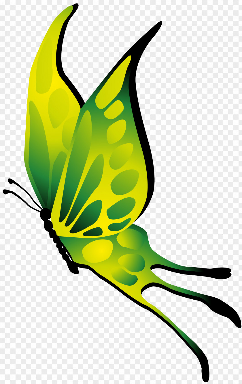 Butterfly Monarch Insect Clip Art PNG