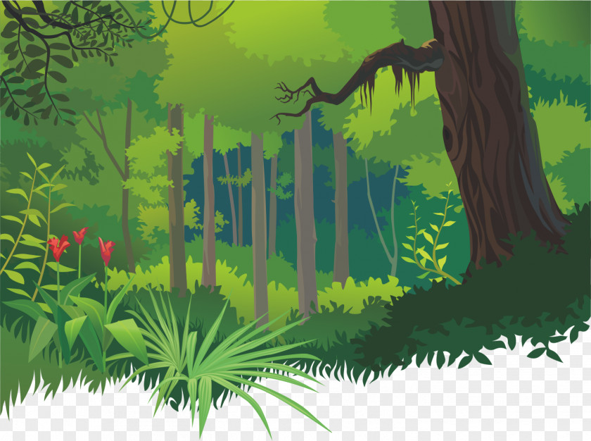 Cartoon Tropical Forests PNG