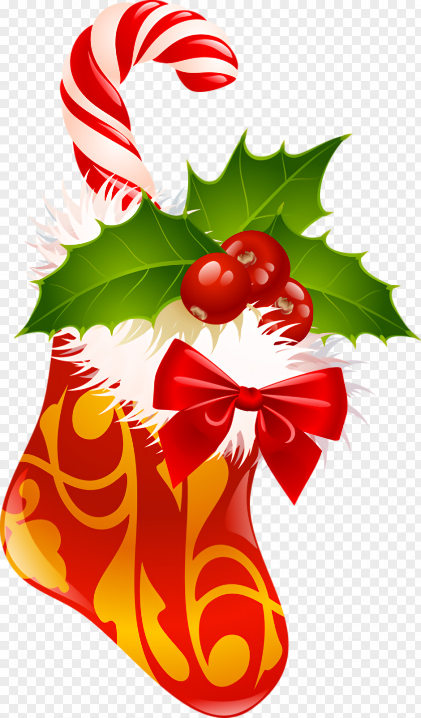 Christmas Decoration Plant Stocking Socks PNG