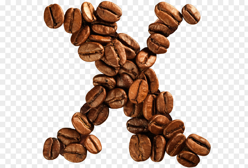 Coffee Jamaican Blue Mountain Bean Cocoa Caffeine PNG