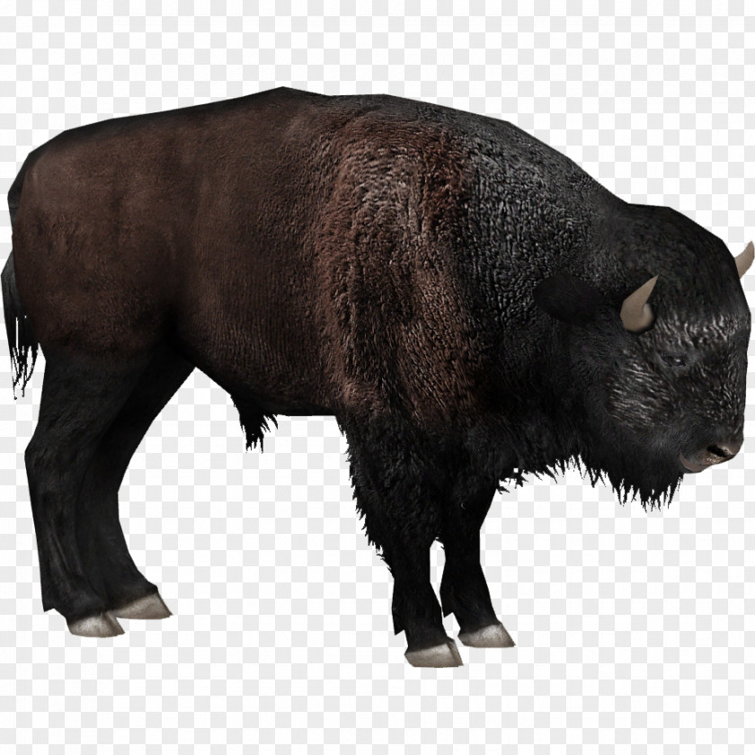 Holocene Animal Extinct Animals Zoo Tycoon 2 Plains Bison European Steppe PNG