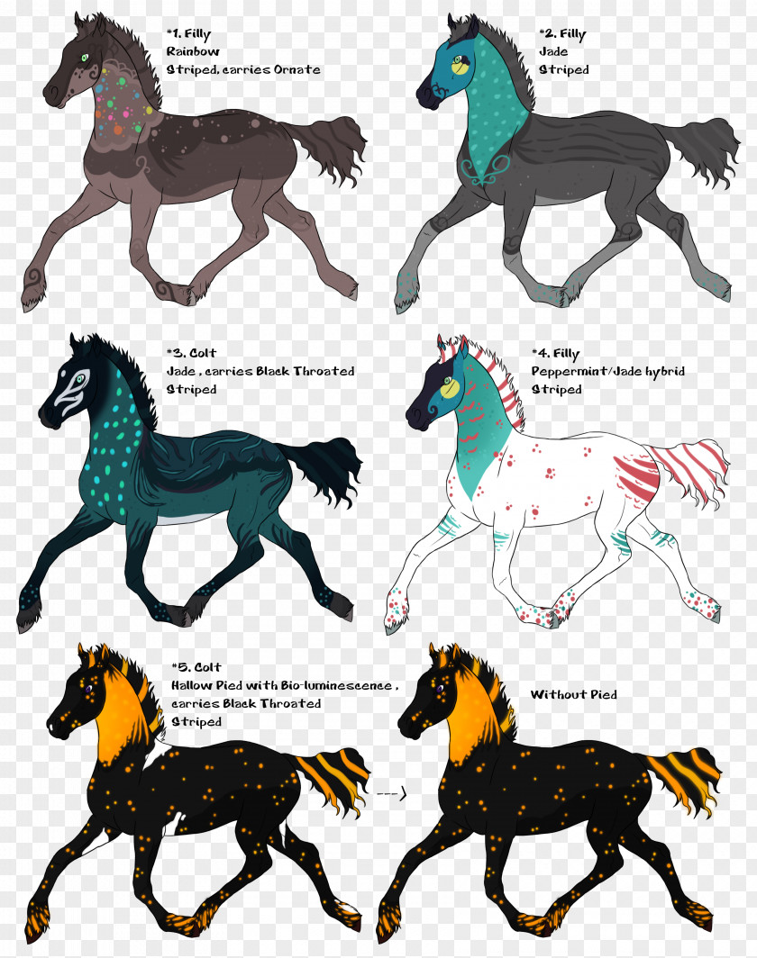 Mustang Dog Pack Animal Canidae PNG