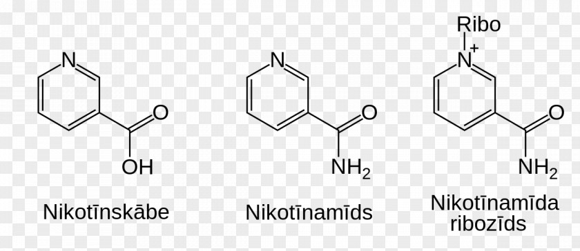 Nền Nicotinamide Adenine Dinucleotide Riboside PNG