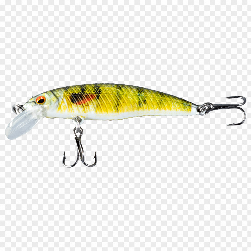 Spoon Lure Perch Osmeriformes Fish AC Power Plugs And Sockets PNG