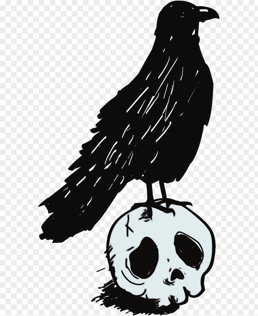 Wing Crow Bird Beak Black-and-white Drawing Falconiformes PNG