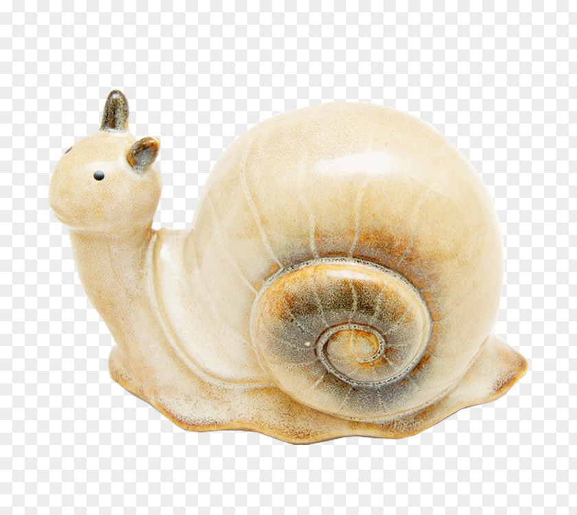 Snails Snail Orthogastropoda Download PNG