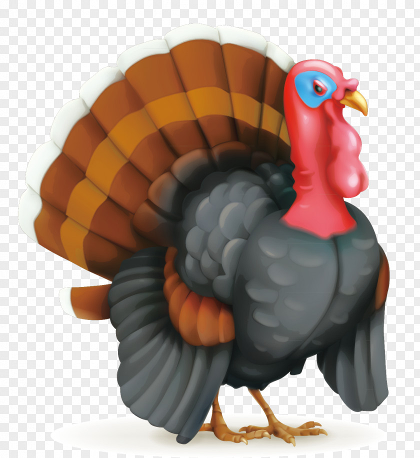 Vector Decorative Peacock Thanksgiving Day Turkey Illustration PNG