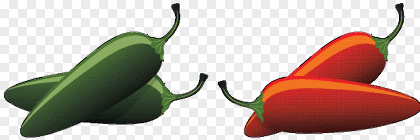 Capsicum Plant Serrano Pepper PNG