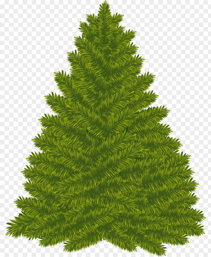 Christmas Tree Day New Year Clip Art PNG