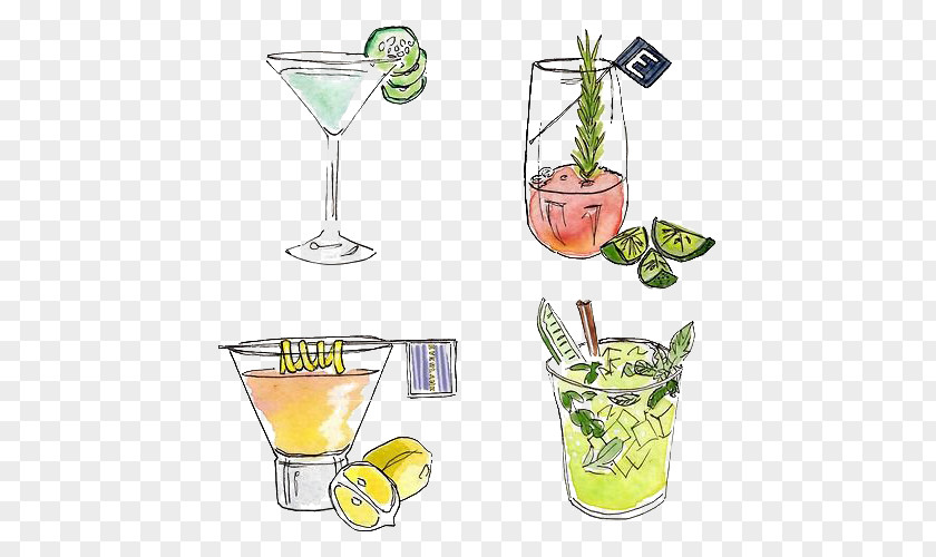 Cocktail Garnish Juice Watercolor Painting Drawing PNG