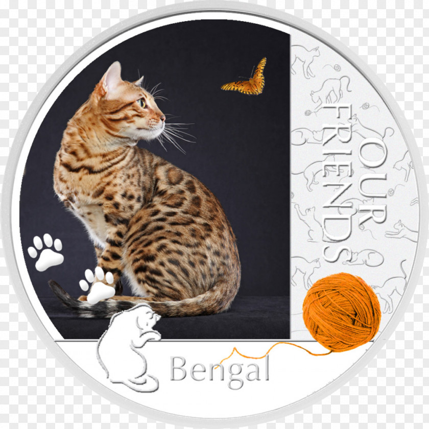 Coin Bengal Cat Toyger California Spangled Dragon Li Domestic Short-haired PNG