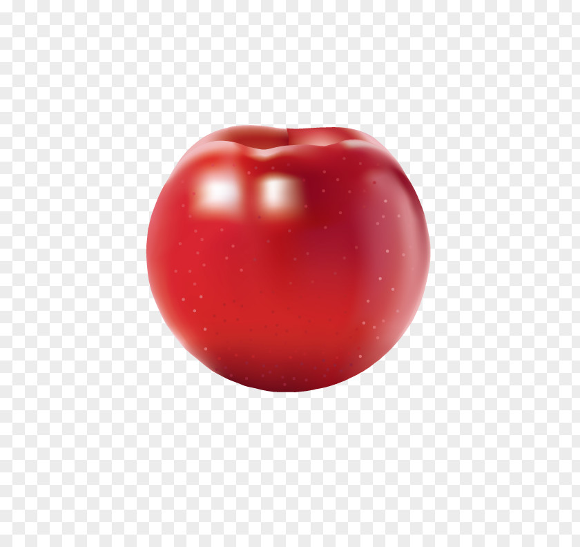 Fresh Red Apple Realism Computer Network PNG
