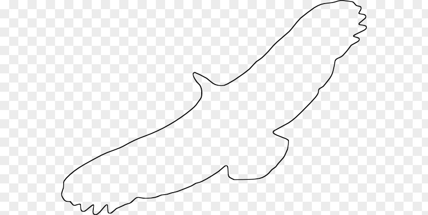 Outline Drawings Of Birds White Shoe Finger Pattern PNG