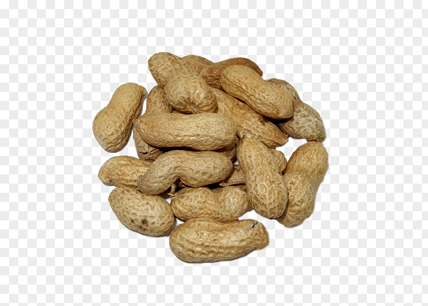 Peanut Nuts Cashew Fruit PNG