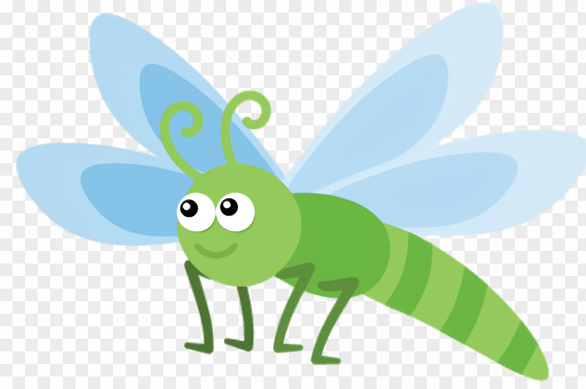 Fly Moths And Butterflies Green Leaf Background PNG