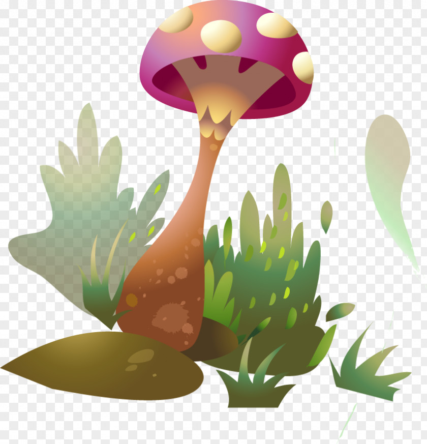 Forest Elf Decorative Elements Fungus Mushroom Drawing Clip Art PNG