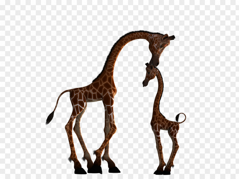 Giraffe Mother Child Infant Silhouette PNG