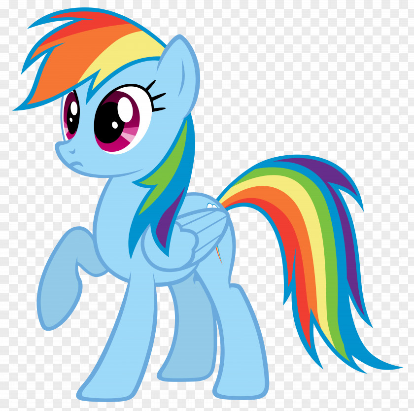 My Little Pony Rainbow Dash Pinkie Pie Rarity Twilight Sparkle PNG