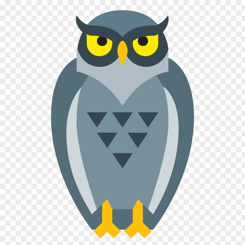 Owl App Bird PNG