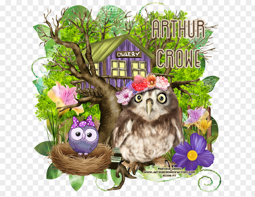Owl Beak Wildlife Tree PNG