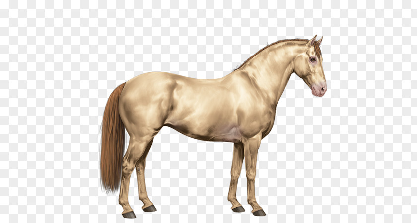 Quarter Horse Mane Mustang American Paint Stallion PNG