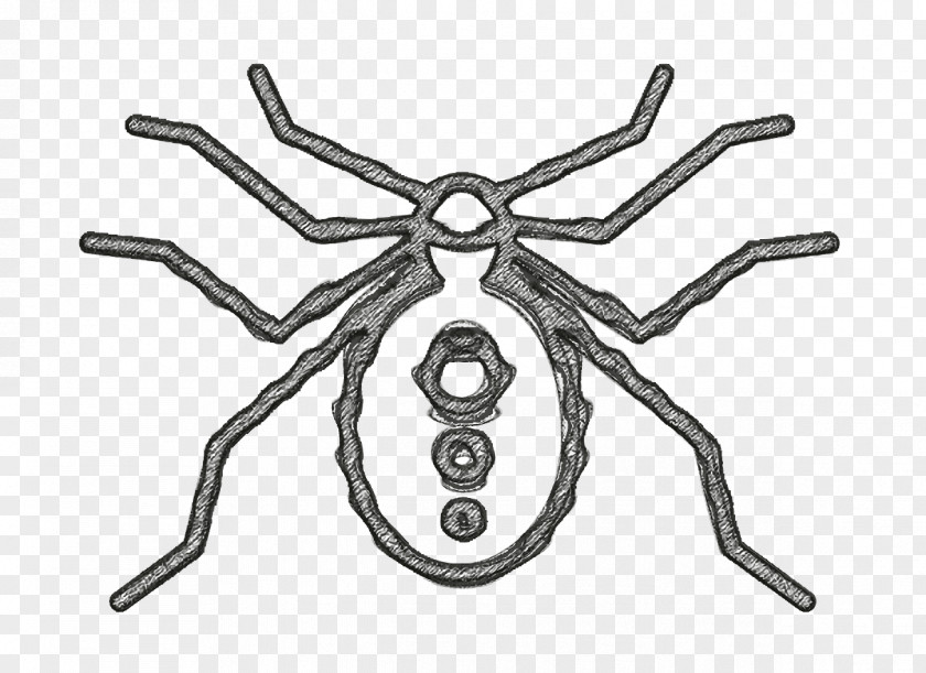 Spider Icon Insects PNG