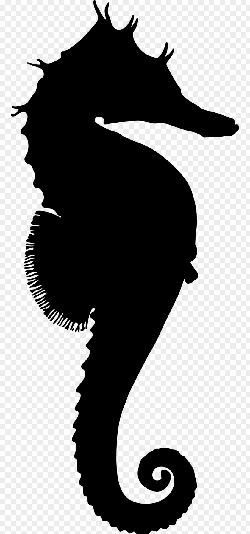 Animal Silhouettes Horse Silhouette Drawing PNG