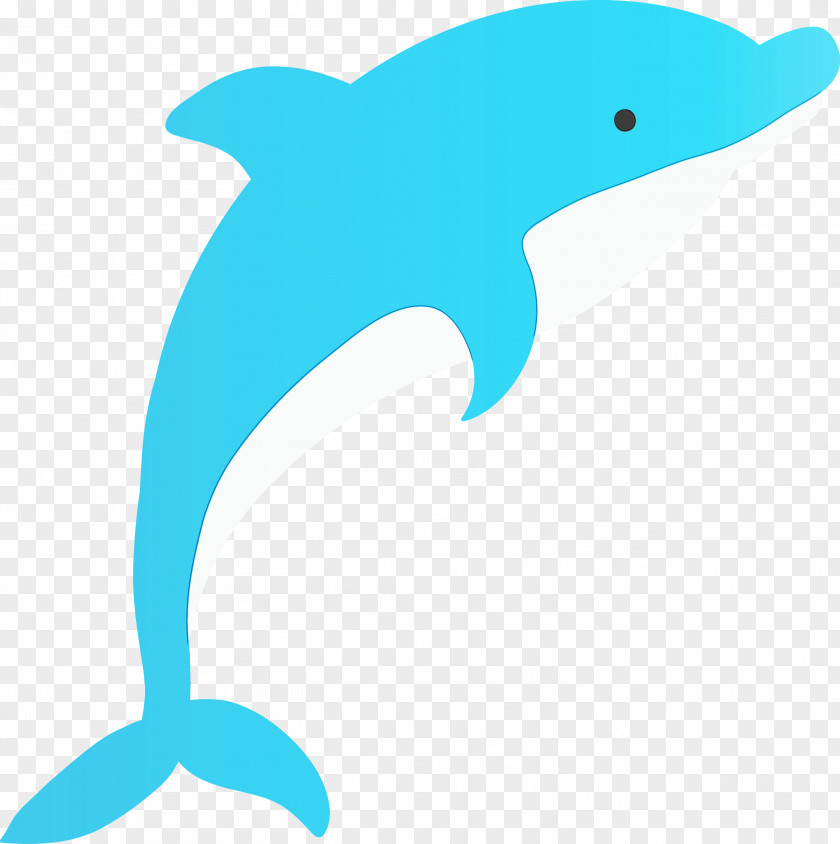 Bottlenose Dolphin Fin Animal Figure Cetacea PNG