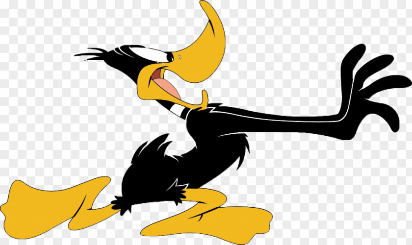 Duck Daffy Donald Yosemite Sam Looney Tunes PNG