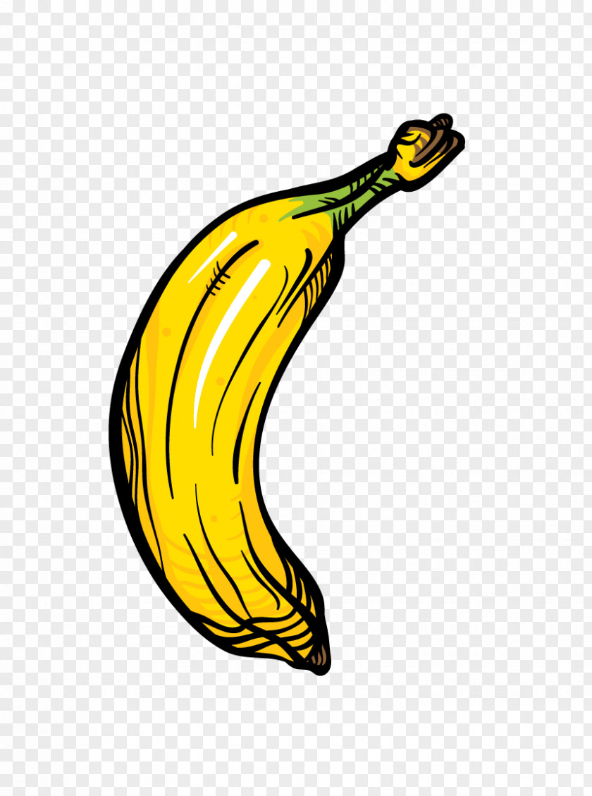 Hand-painted Banana Fruit Icon PNG