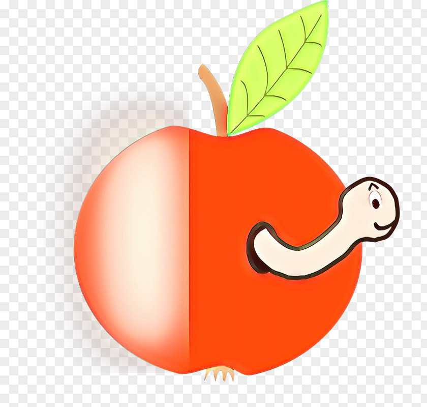 Orange PNG