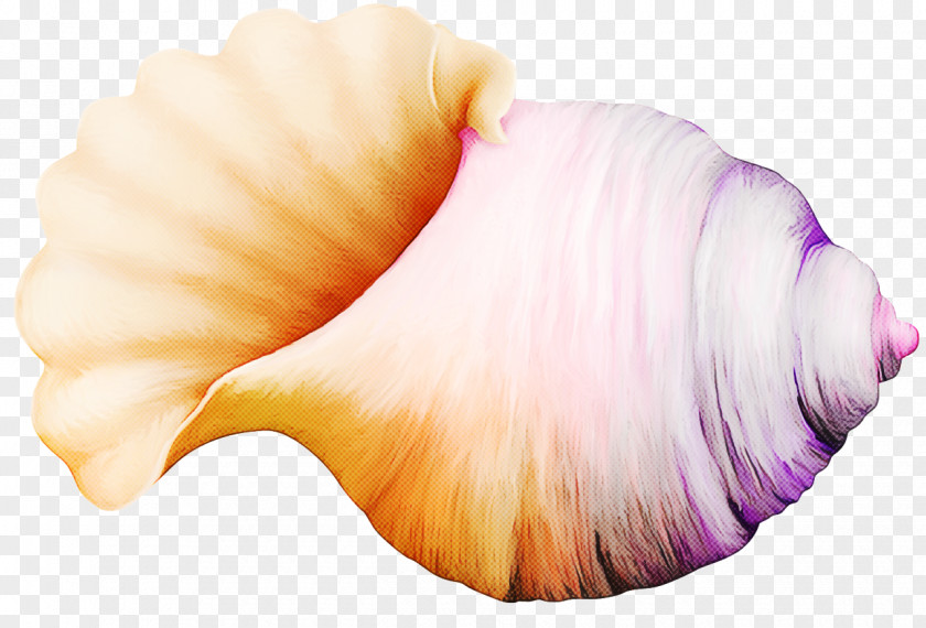 Pink Shankha Conch PNG