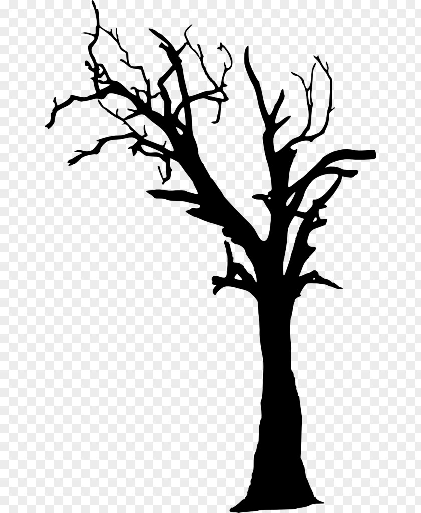 Tree Outline Silhouette Clip Art Image Vector Graphics PNG