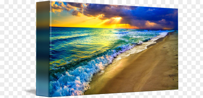 Beach Sunset Body Of Water Sea Painting Resources PNG