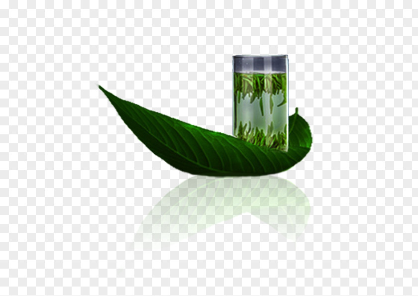 Green Tea Stock Image Longjing Xinyang Maojian PNG
