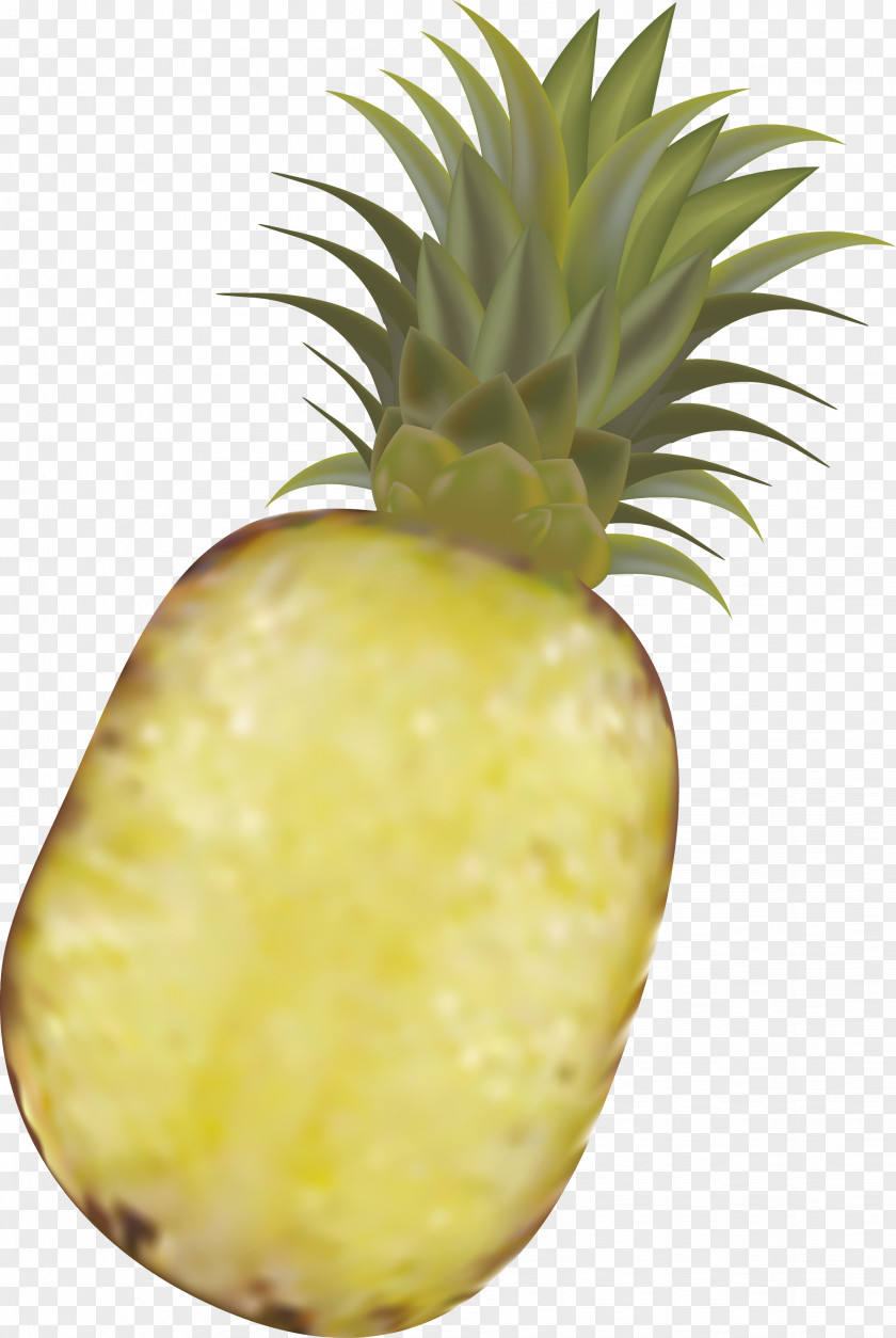 Pineapple Vector Fruit Royalty-free PNG