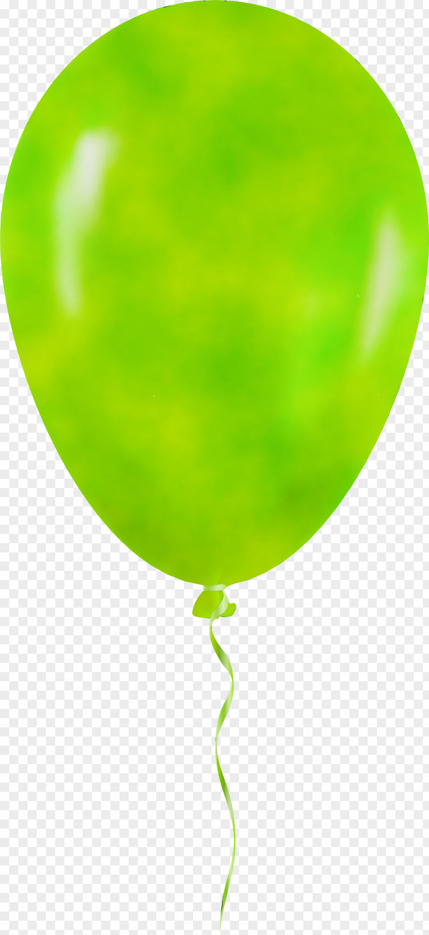 Plant Party Supply Hot Air Balloon Watercolor PNG