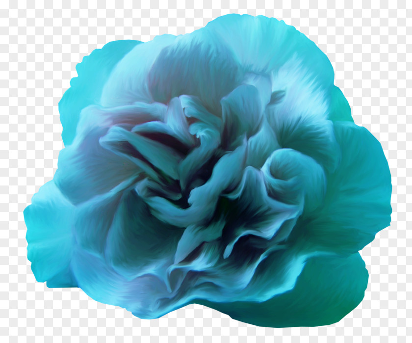 Rose Blue Flower Color PNG