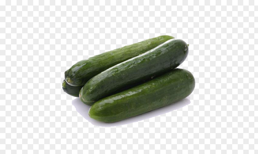 Vegetable Cucumber Pickled Spreewald Gherkins PNG