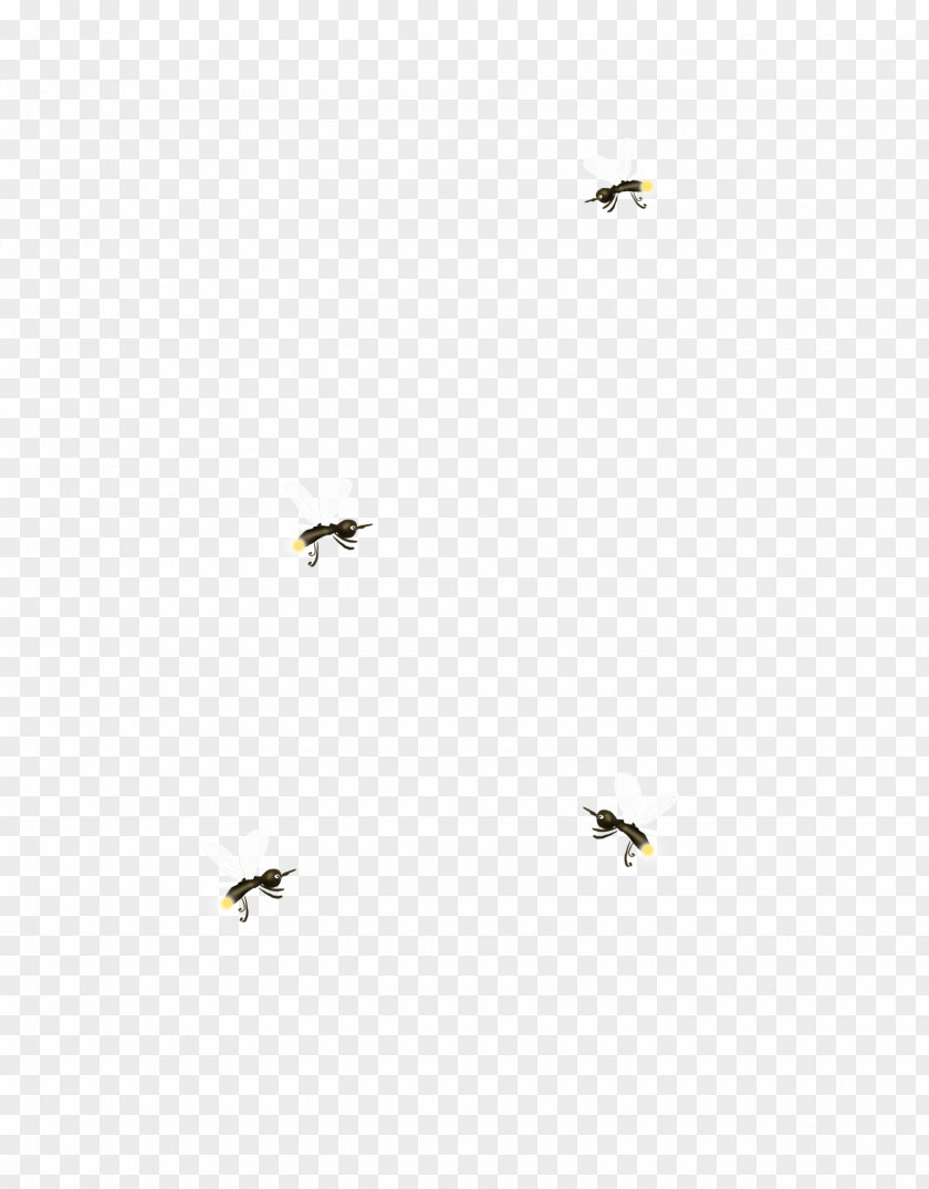 Floating Mosquitoes Insect Mosquito Hass Hasib Drawing PNG