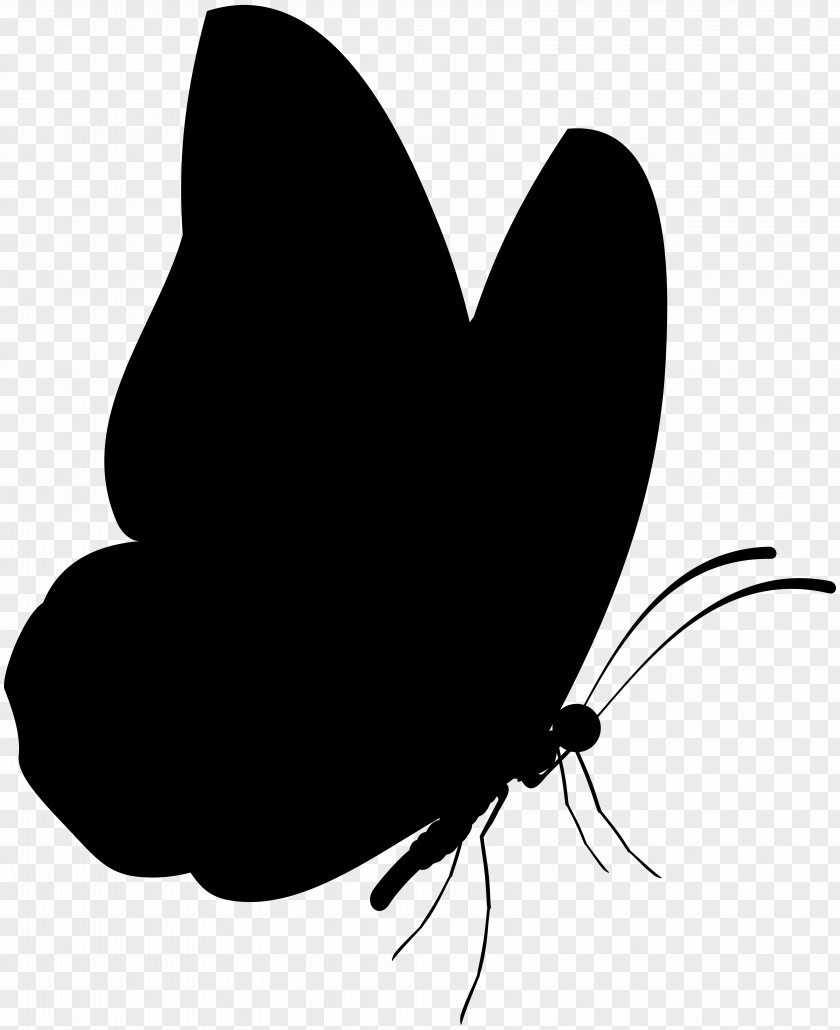 M Clip Art Silhouette Brush-footed Butterflies Black & White PNG