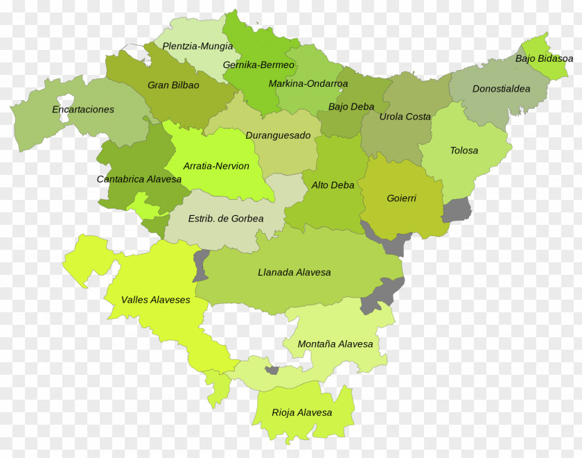 Map Comarcas Of The Basque Country Gipuzkoa World PNG